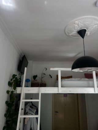 Anzeigenbild: WG in der Johannesvorstadt
