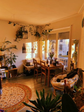 Anzeigenbild: Wunderschöne 1,5 Zimmerwohnung im Herzen Bambergs zur Untermiete