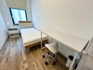 Möbliertes Wg-Zimmer (Zentrum-Nord) 🌟🎀
