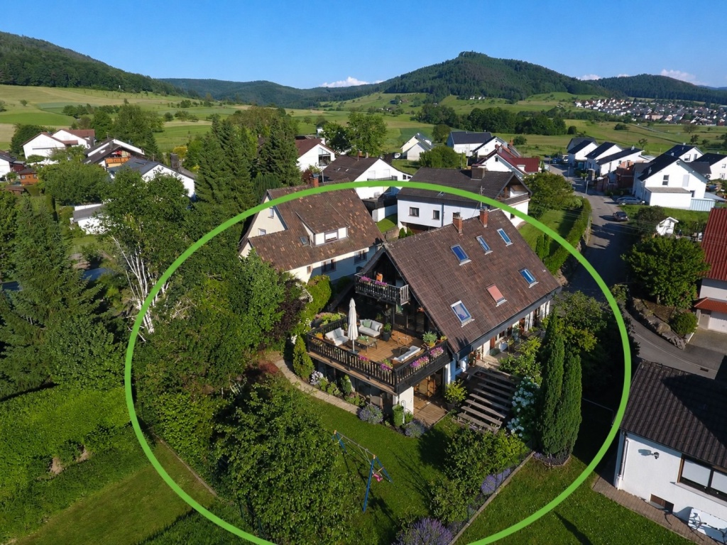 Flatshare Reichenbach Burgstr. 19 - Luftaufnahme vom Haus