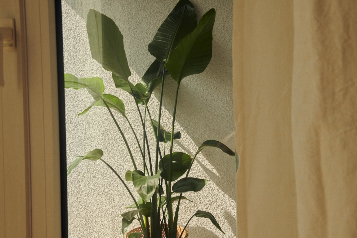 Lily-Braun-Weg, Munich – Lily-Braun-Weg, 80637 München Moosach – Vorschaubild 4
