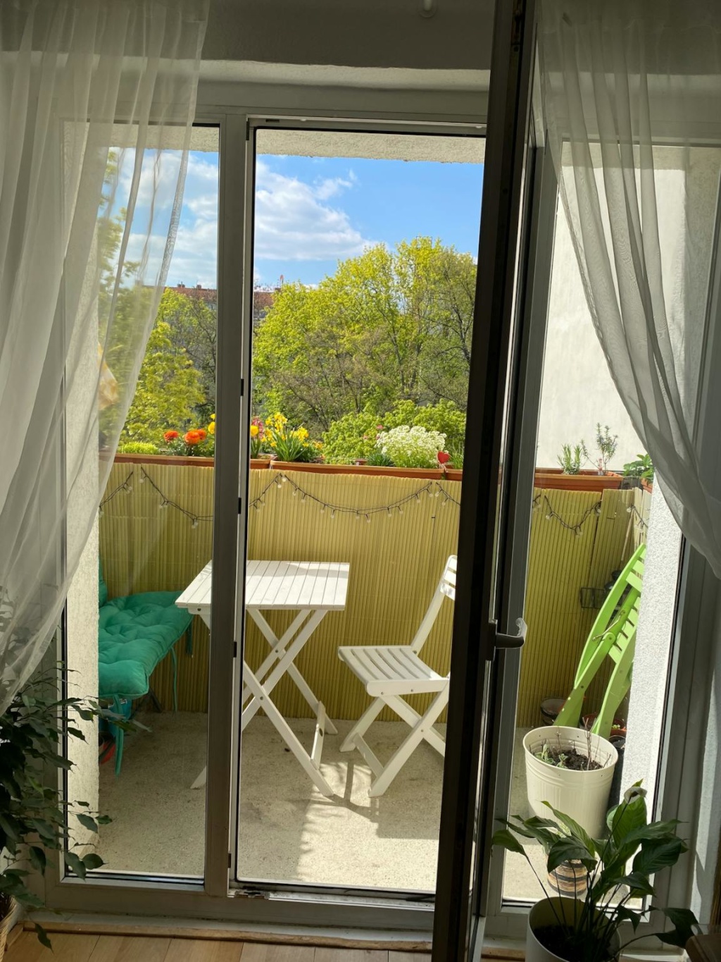 Wohnung Mitte Choriner Straße - Bild 6