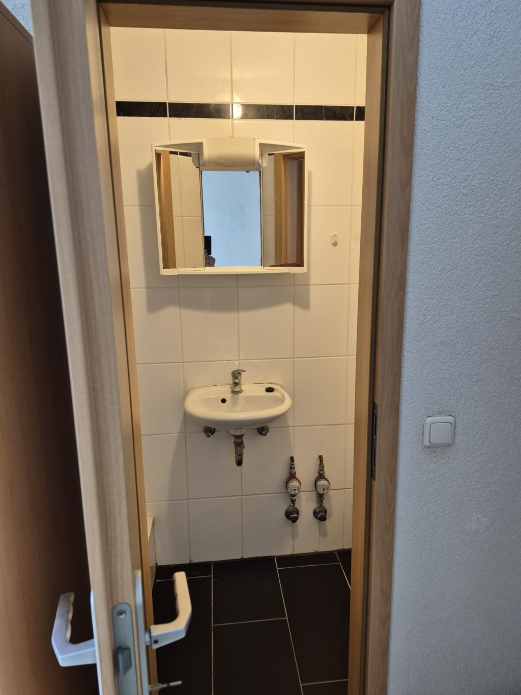 1-Zimmer-Wohnung Flughafen Im Grossen Ramsee  38 - Bild 2