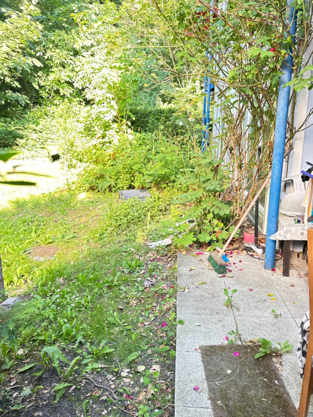 Flatshare Mahlsdorf Waldowstraße - picture 14