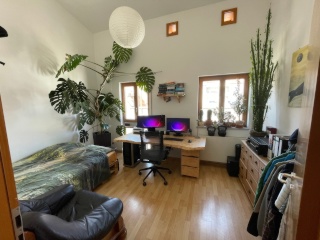 Imagen del anuncio: Helles WG-Zimmer in schöner Maisonette-Wohnung in zentraler Lage (in der Nähe vom ZOB)