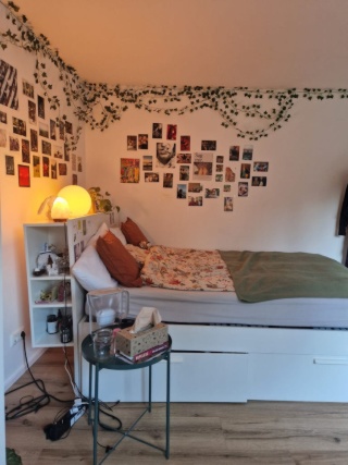 Anzeigenbild: Gemütliches  helles Zimmer im Haus-WG , Weisenau