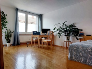 Ad image: Zwischenmiete 01.08.2026 - 31.08.2026 Innenstadt Freiburg