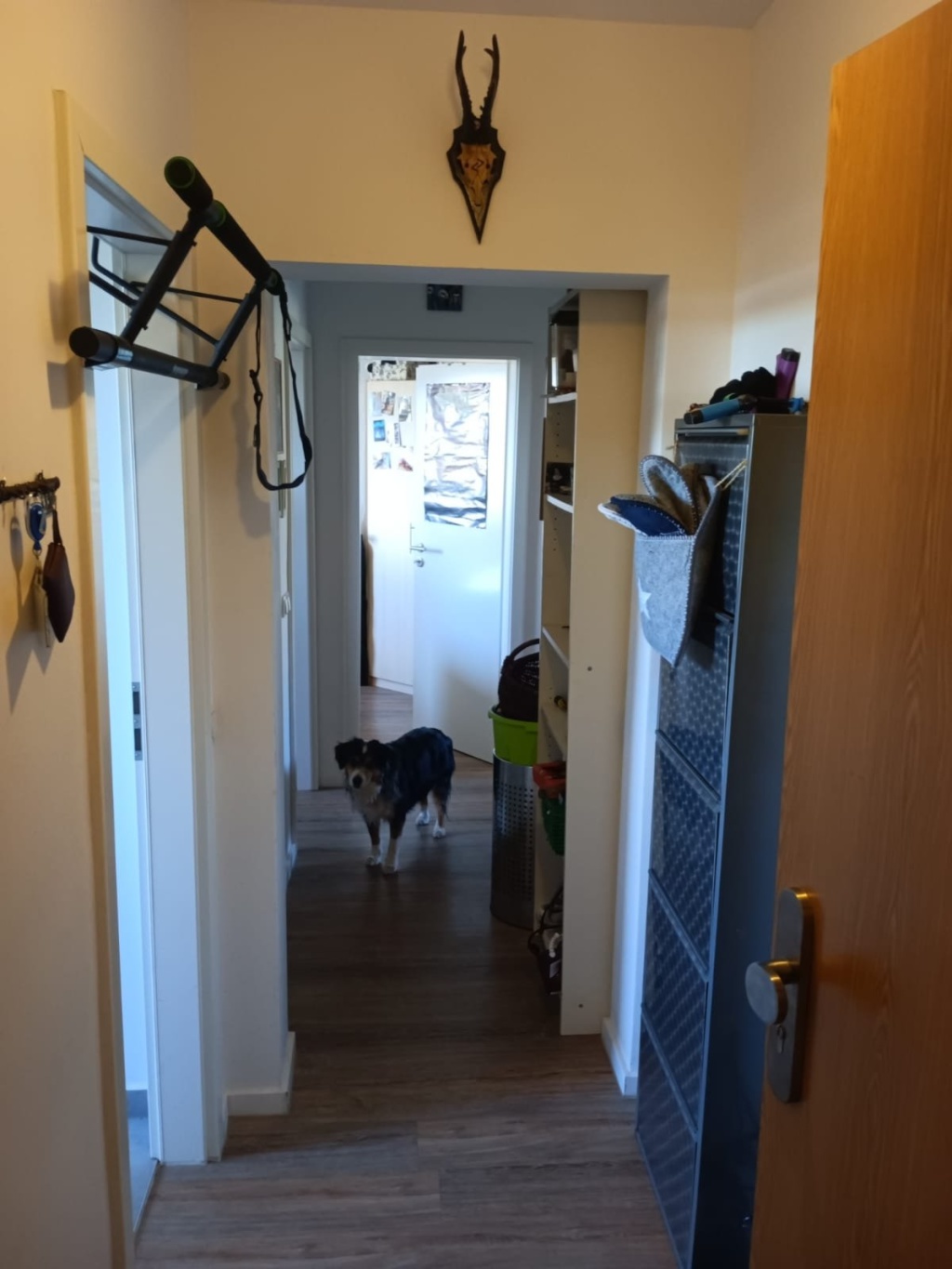 Wohnung zur Zwischenmiete in ruhiger Lage – Engelswachterstraße 7, 18519 Greifswald Miltzow Reinkenhagen – Vorschaubild 11