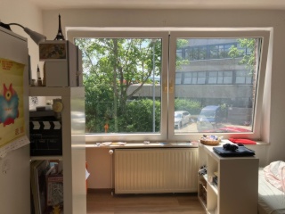 Anzeigenbild: Gemütliche 5er WG in der Nordstadt
