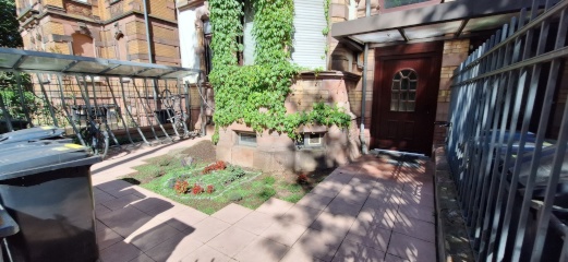 Ad image: nice WG room in the Martinsviertel (near Herrgarten & TU)