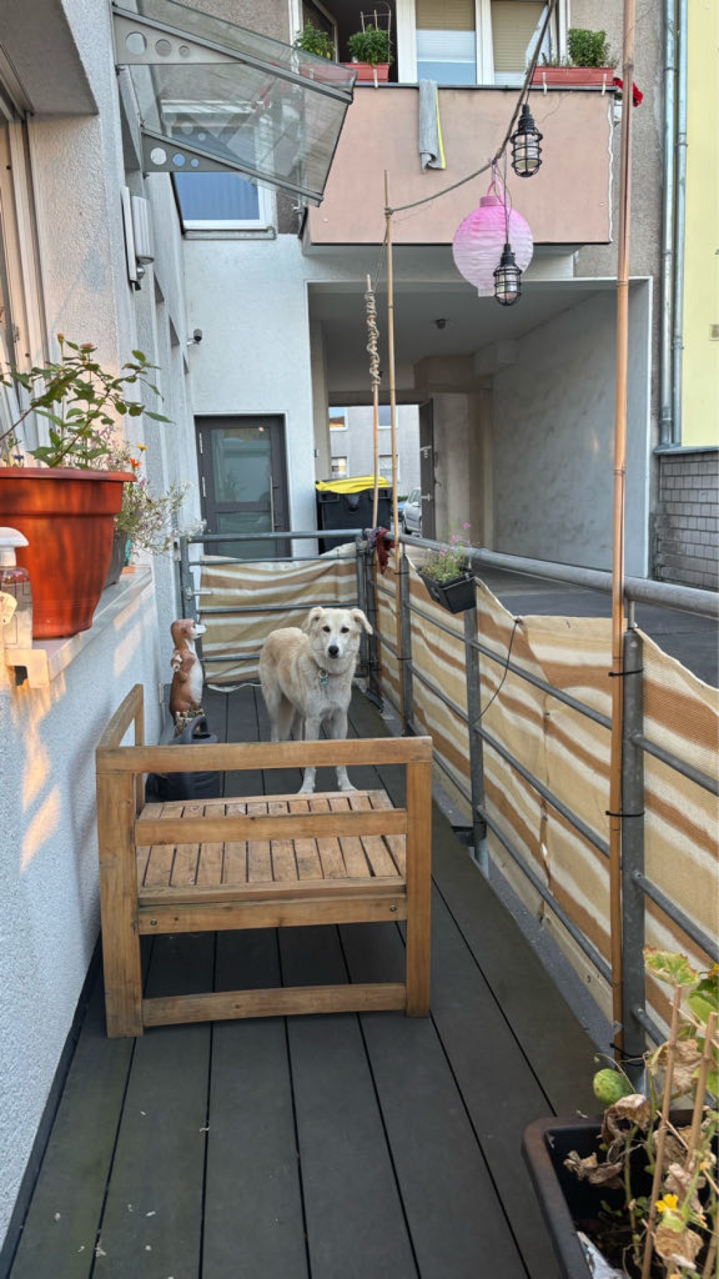 WG-Zimmer Mauenheim Merheimer Straße 0 - Bild 7