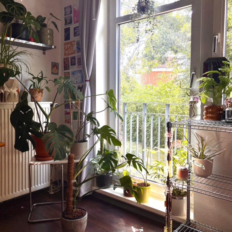 WG-Zimmer Gievenbeck Gemenweg 118 - Bild 14