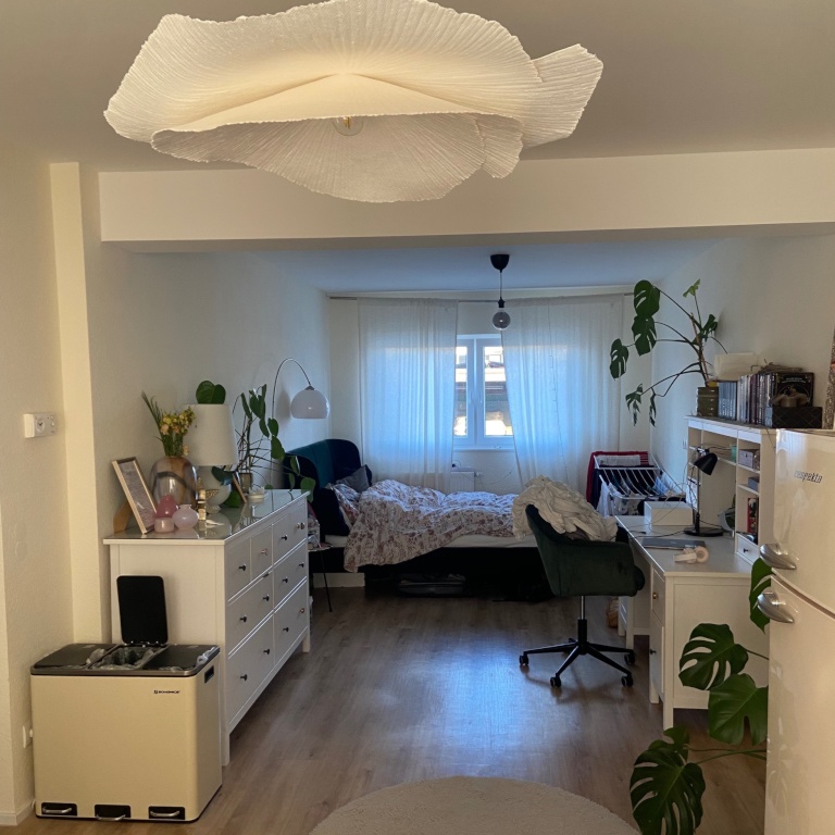 1-Zimmer-Wohnung (36 m2 ) zur Untermiete (01.09.–31.12., Verlängerung nach Absprache möglich)