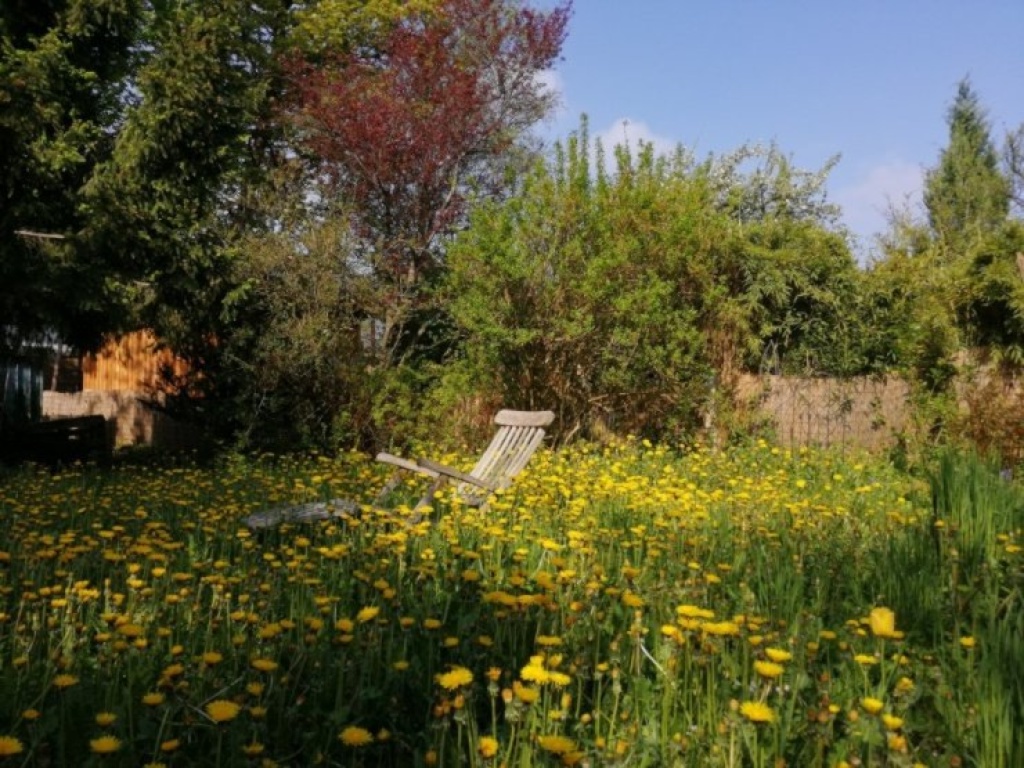 Habitación en WG Thalkirchen-Obersendling-Forstenried-Fürstenried-Solln Königswieser Str. - garden