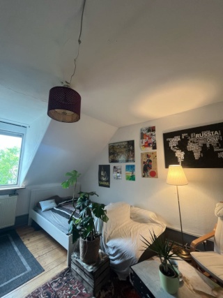 Ad image: WG-Zimmer im Paradies