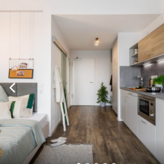 Anzeigenbild: Single Studio in Frankfurt FROM AUGUST