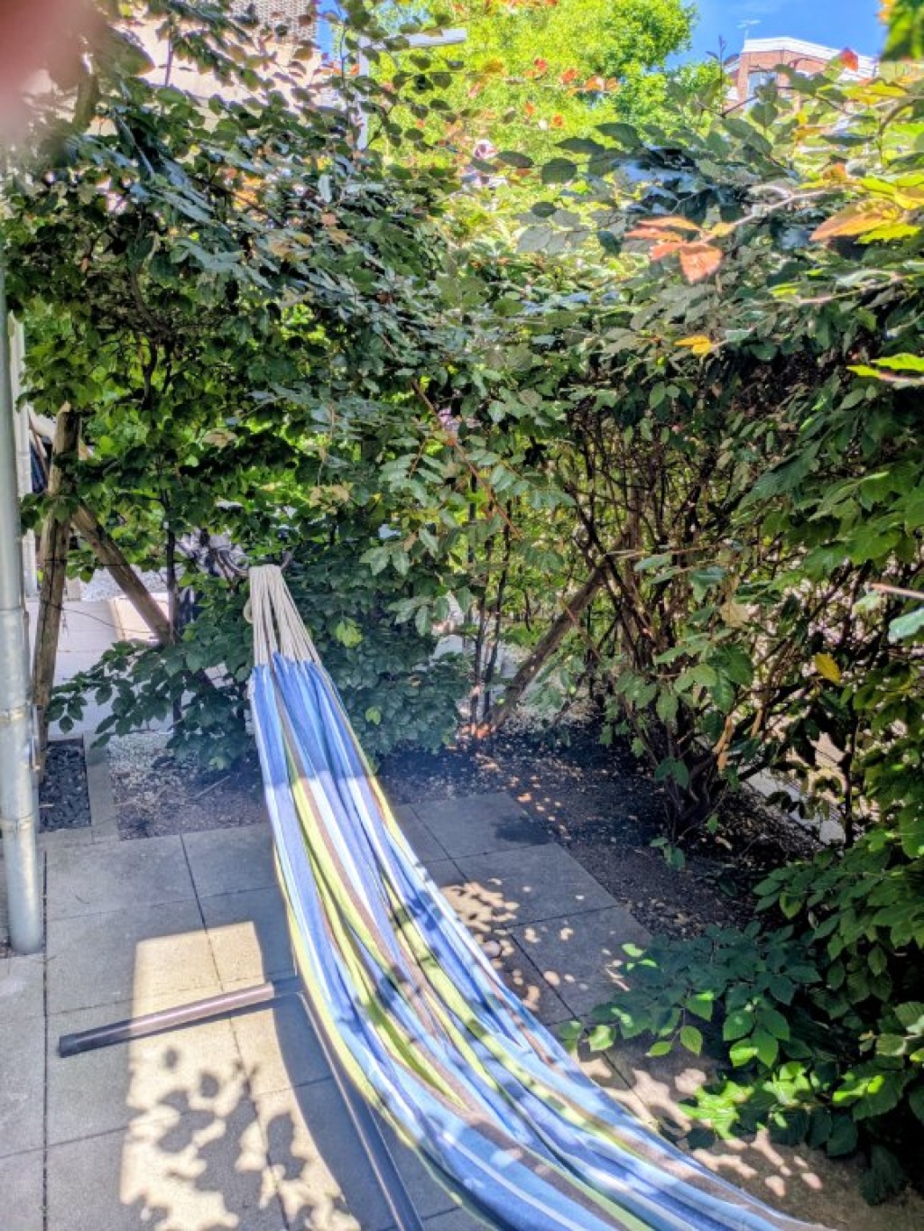 Wohnung zur Zwischenmiete in Sülz – Universitätsstraße, 50937 Köln Sülz – Vorschaubild 7