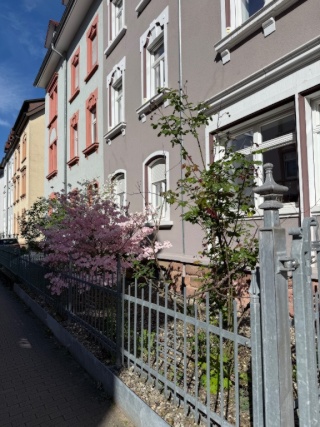 Imagen del anuncio: "Historisches" Studenten-Stadthaus
