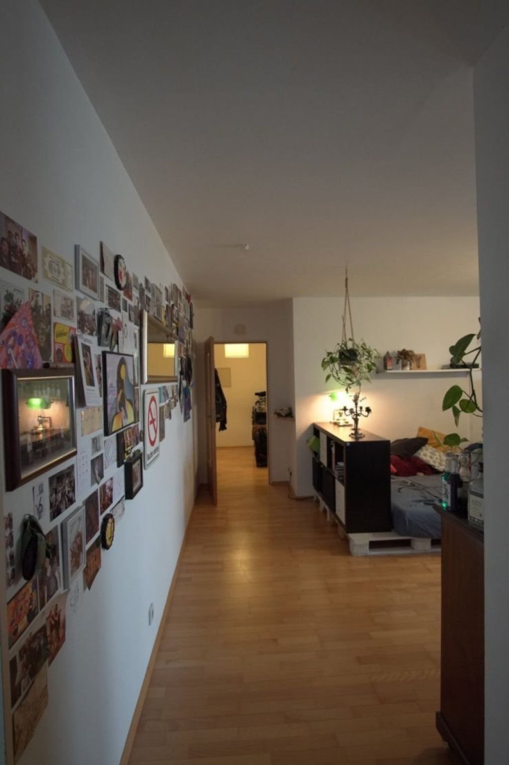 Large 1 bed room apartment