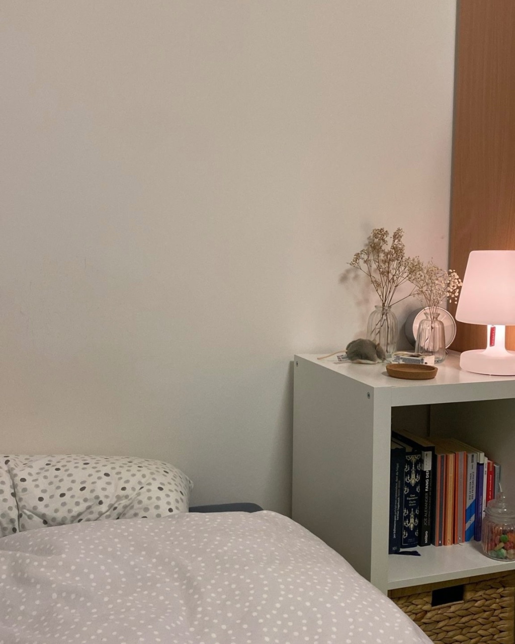 Appartement im Studentenwohnheim (Untermiete) – Isaac-Fulda-Allee 4, 55124 Mainz Gonsenheim – Vorschaubild 4
