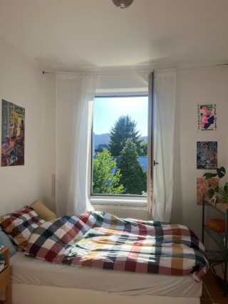 Anzeigenbild: Sonnige WG in Trier Süd