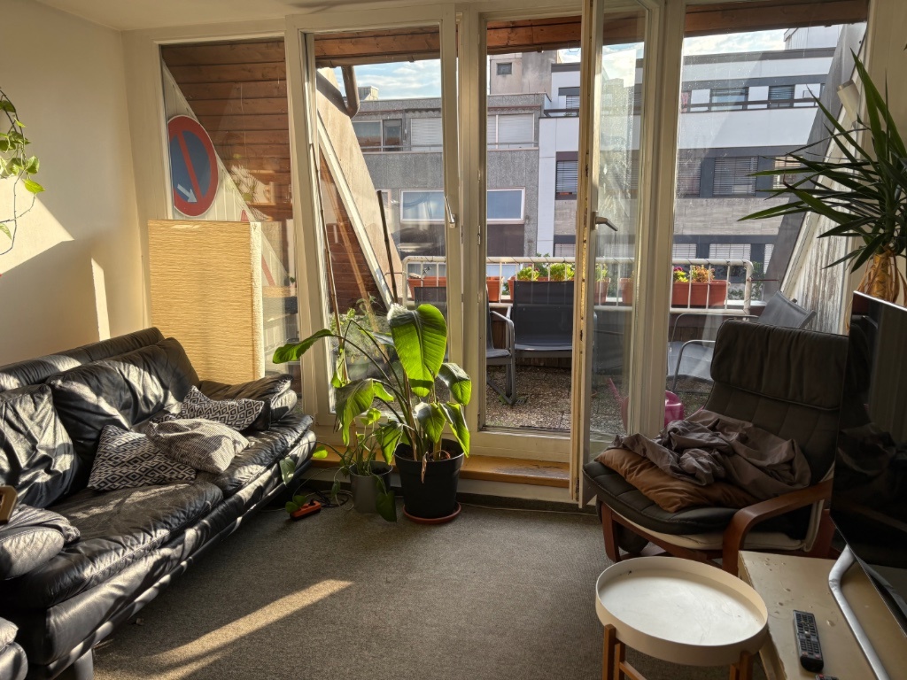 WG-Zimmer Innenstadt Nürnberg 60 - Wohzimmer