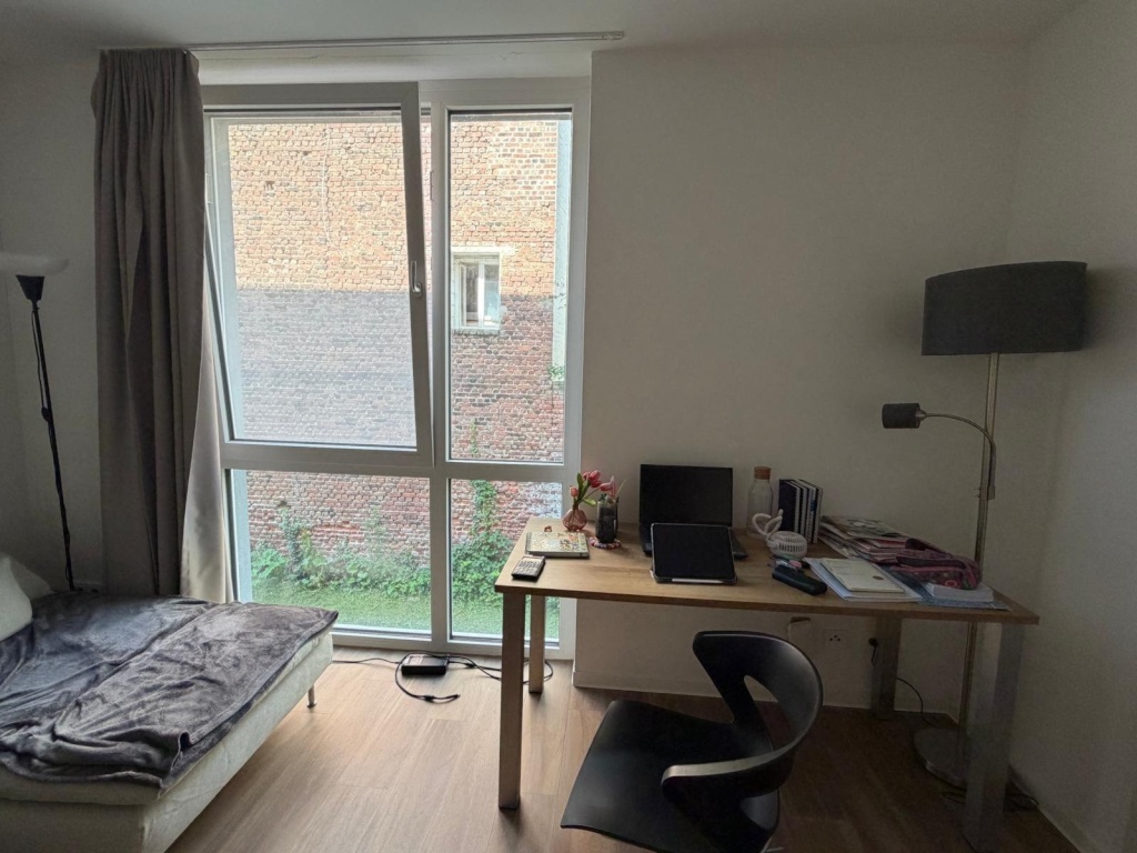 Möbliertes 1-Zimmer-Apartment in Aachen zur Untermiete für 6 Monate – Kasernenstrasse 16, 52064 Aachen Aachen – Vorschaubild 10