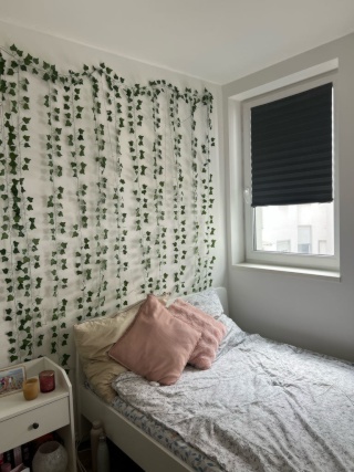 Imagen del anuncio: Nachmieter für 1-Zimmer-Apartment ab 01. September gesucht
