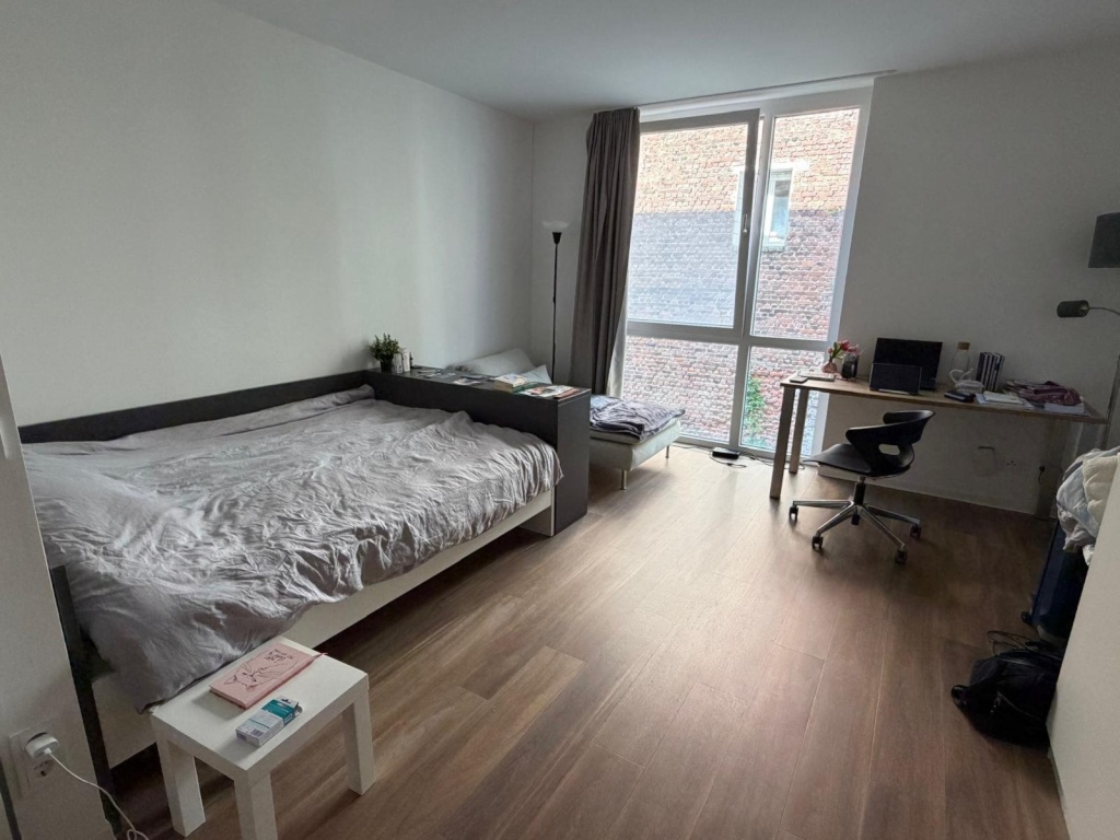 Möbliertes 1-Zimmer-Apartment in Aachen zur Untermiete für 6 Monate – Kasernenstrasse 16, 52064 Aachen Aachen – Vorschaubild 5