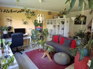 Anzeigenbild: 1,5 Zimmer Wohnung zur Zwischenmiete mit Balkon, im ruhigem Viertel Himmelsthür