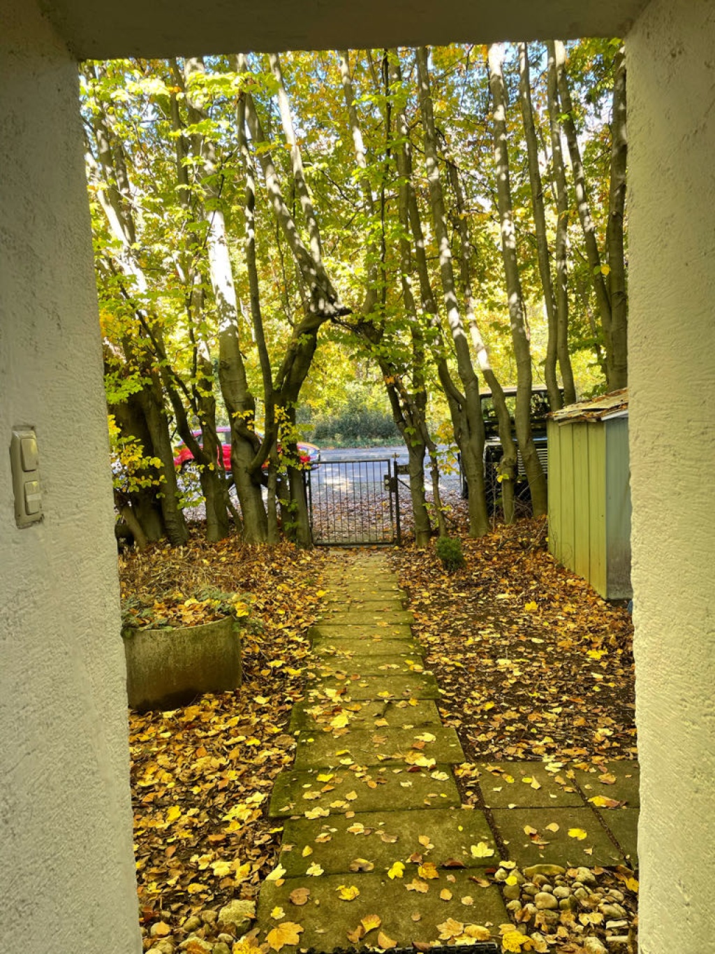 WG-Zimmer Obergiesing-Fasangarten Fasangartenstraße - Bild 16