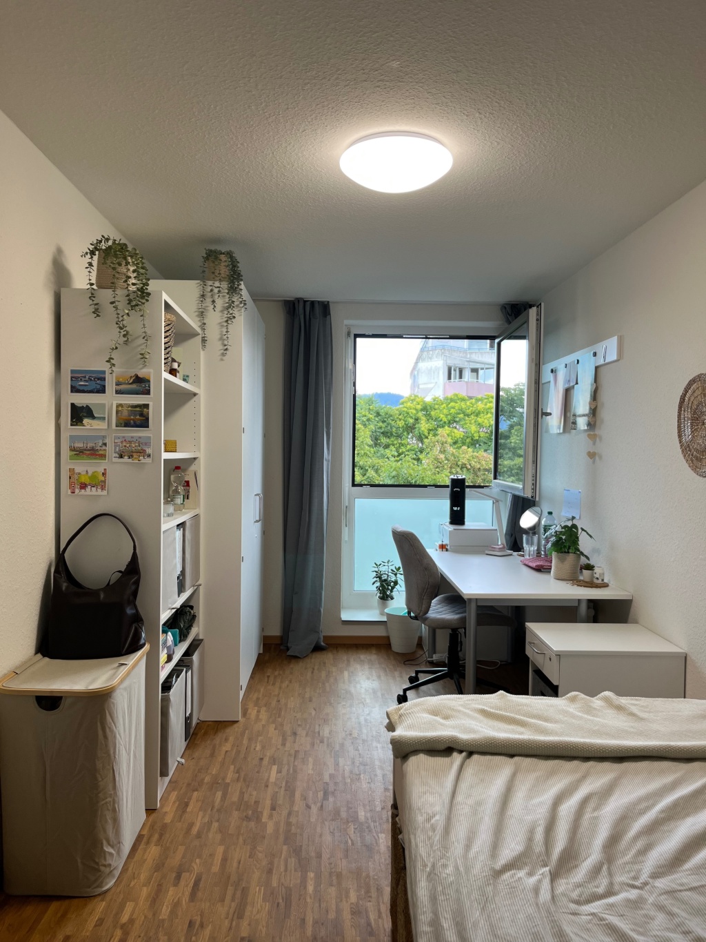 Flatshare Betzenhausen Sundgauallee - picture 3