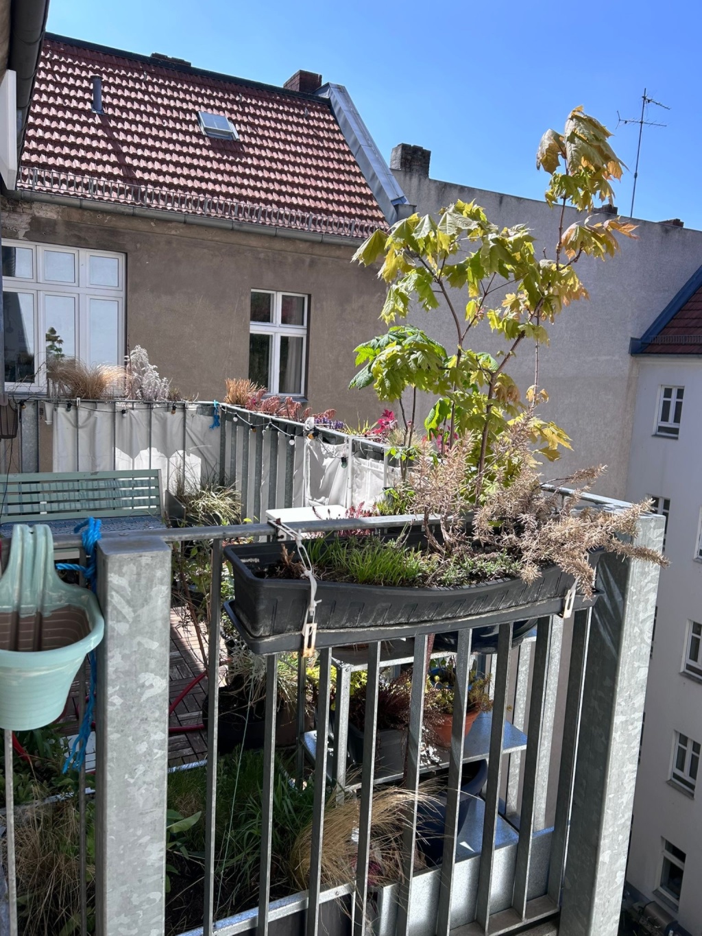 2 Zi Whg möbliert