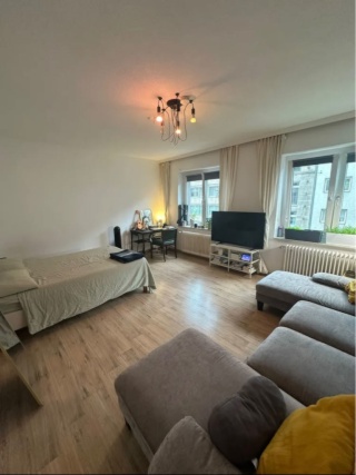 Imagen del anuncio: SUB-LET Central Cozy Apartment in Düsseldorf
