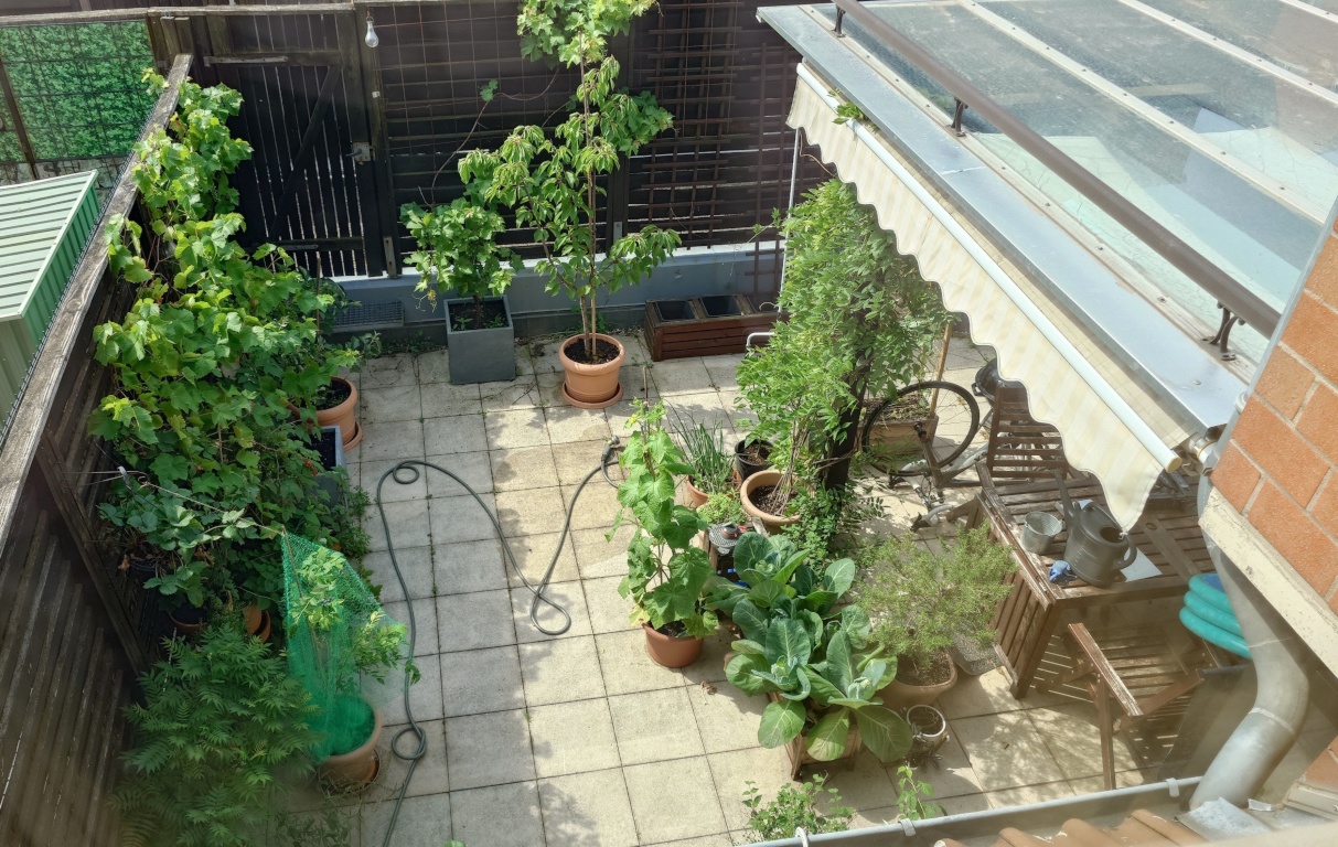 96 qm Maisonette mit Terrasse – Karlstr., 51143 Köln Porz – Vorschaubild 12