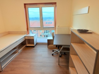 Anzeigenbild: 1 room shared apartment
