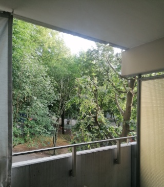 Anzeigenbild: Zentral: APARTMENT - möbliert / furnished - Kurzzeit / shortterm