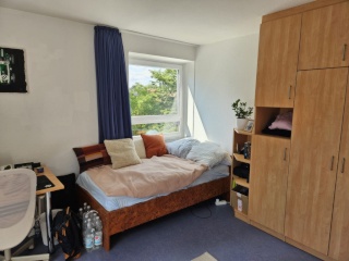 Anzeigenbild: Zimmer frei am Aasee!