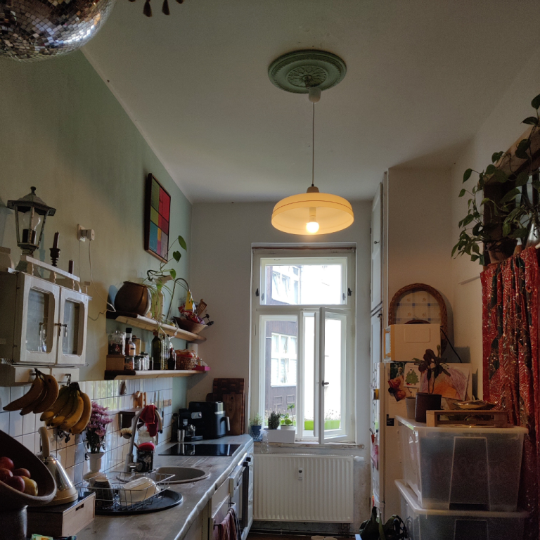 WG-Zimmer Eutritzsch Theresienstr. - Küche
