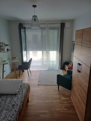 Anzeigenbild: Very cosy 1 Room Flat with a balcony