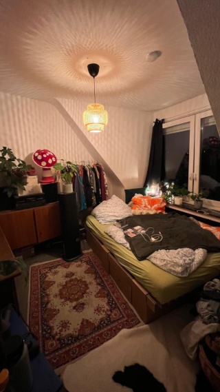 Ad image: Schönes Zimmer in Siegens bester WG! :)