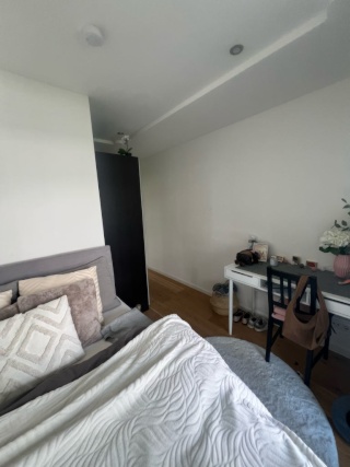 WG zimmer mit großem balkon an der Theresienwiese