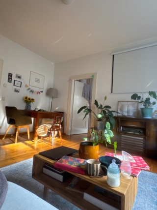 Anzeigenbild: Zentrale 3 Zimmer Wohnung  zur zwischenmiete