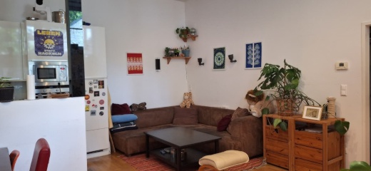 Anzeigenbild: Zimmer in gemütlicher Altbau-WG mit Garten im 5. Bezirk