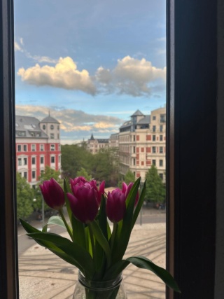 Ad image: WG-Zimmer in super zentraler Lage am Hasselbachplatz