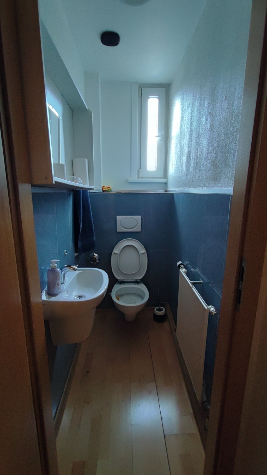 Flatshare Wangen wasenstrasse 1 - Gäste WC