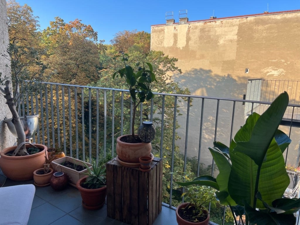 18.09. - 26.09.2026 vacation rental / just given days/Prenzlauer Berg – Wörther Straße 6, 10435 Berlin Kollwitzkiez – Vorschaubild 13