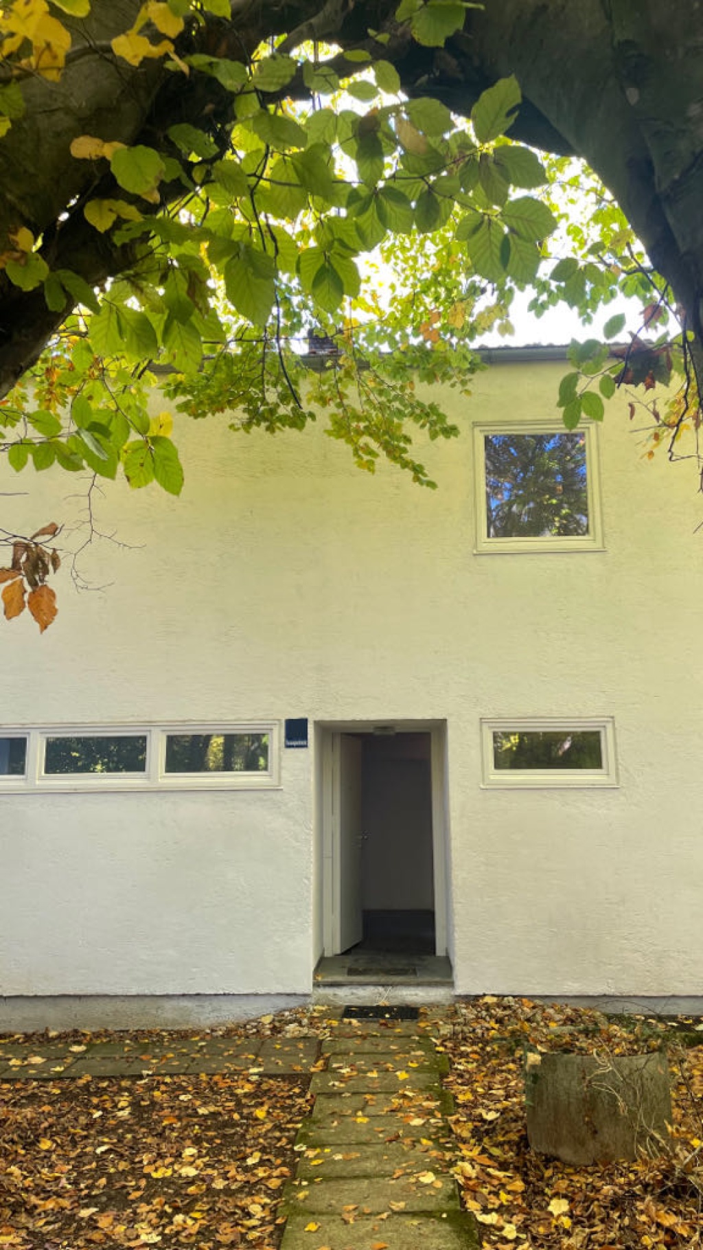 WG-Zimmer Obergiesing-Fasangarten Fasangartenstraße - Bild 17