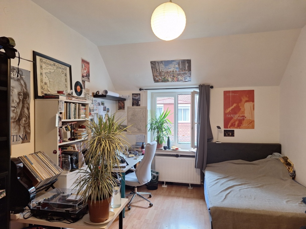 WG-Zimmer Maxvorstadt Königinstraße 49 - Bild 1