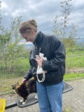 Mirja